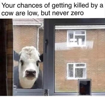 Obrázek Výsuvná police 42,5 x 13,5 cm