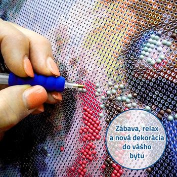 Obrázek z Diamantové malování s rámem - sova pálená 
